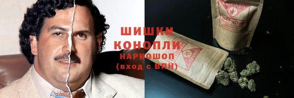 PSILOCYBIN Лиски