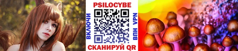 сколько стоит  Воркута  Псилоцибиновые грибы мухоморы 