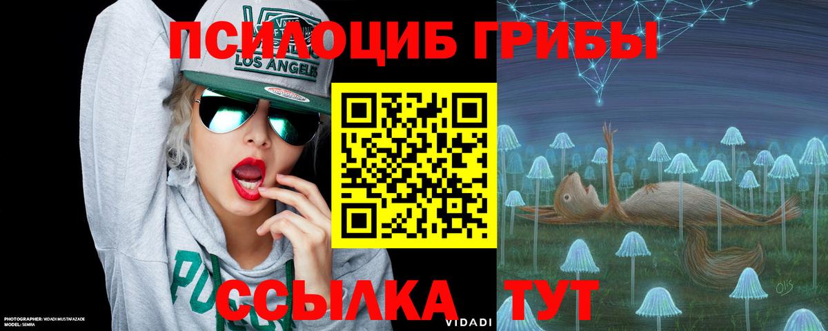 как найти наркотики  Воркута  Галлюциногенные грибы ЛСД  Галлюциногенные грибы мухоморы 
