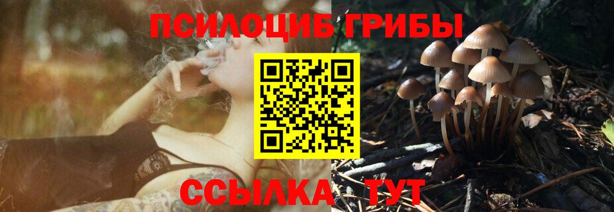Галлюциногенные грибы MAGIC MUSHROOMS Воркута